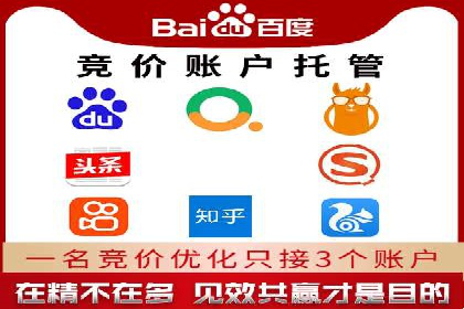 行业标杆：SEM推广代运营成功案例