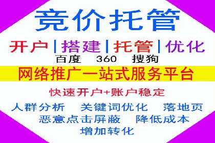 专业竞价SEM托管成功案例解析